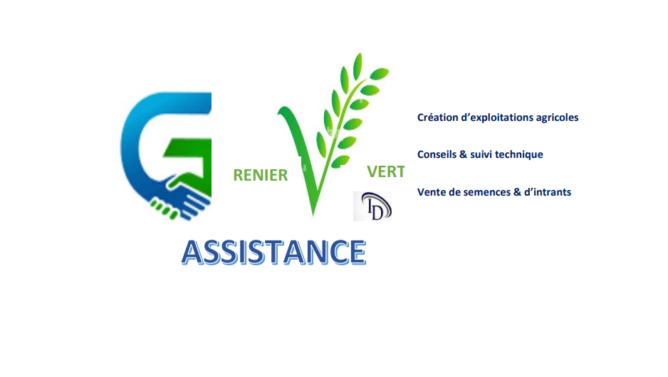 Réalisation